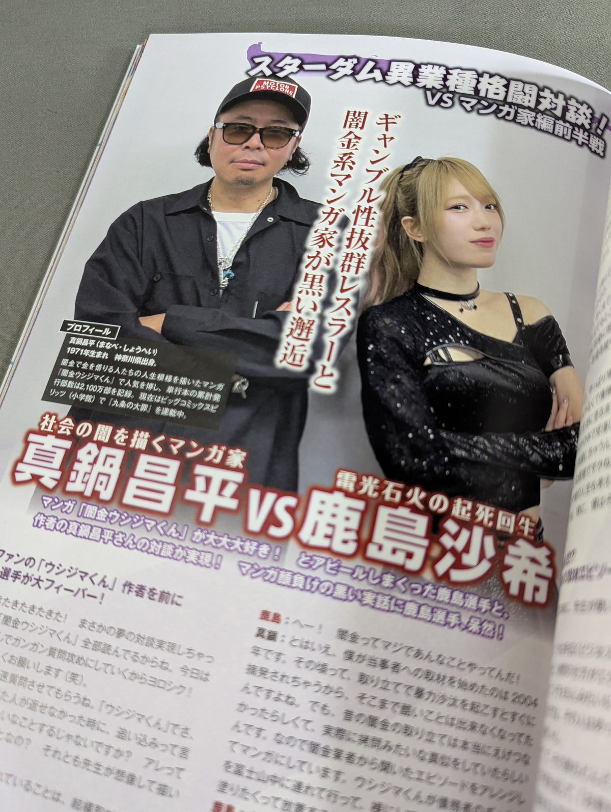 [Includes 2 photos] Stardom Fanbook 2 STARDOM FANBOOK 2