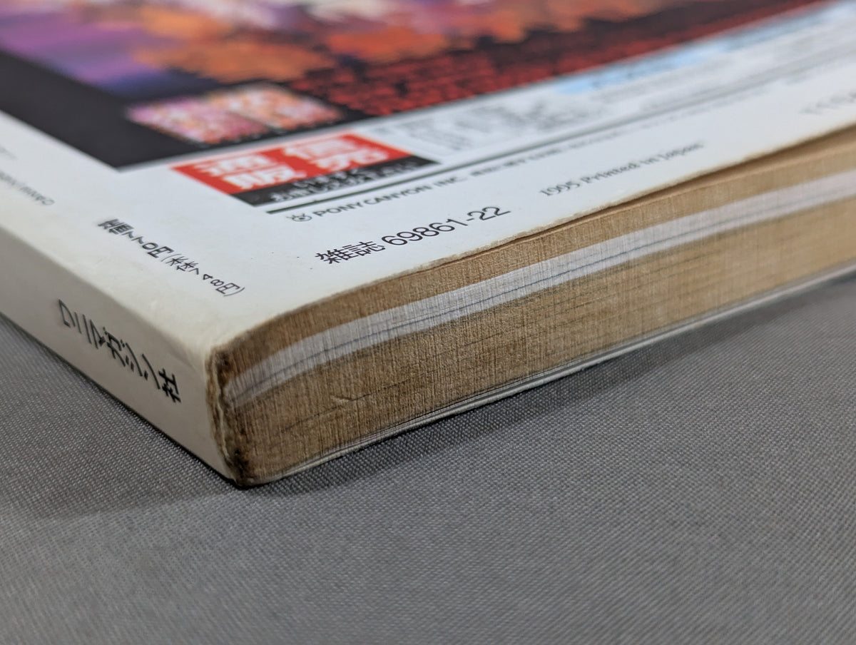Paper Pro Wrestling 21