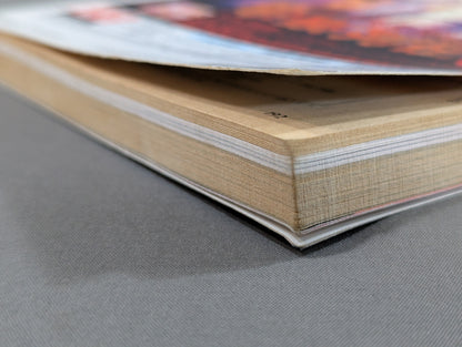 Paper Pro Wrestling 21