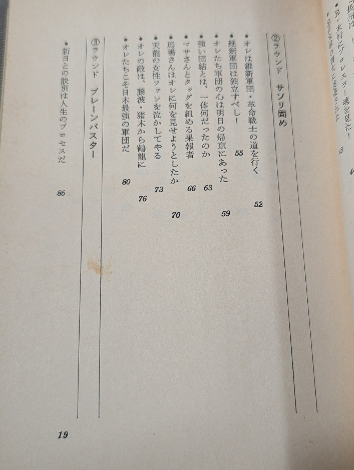 必殺ラリアット宣言 長州軍団の闘争