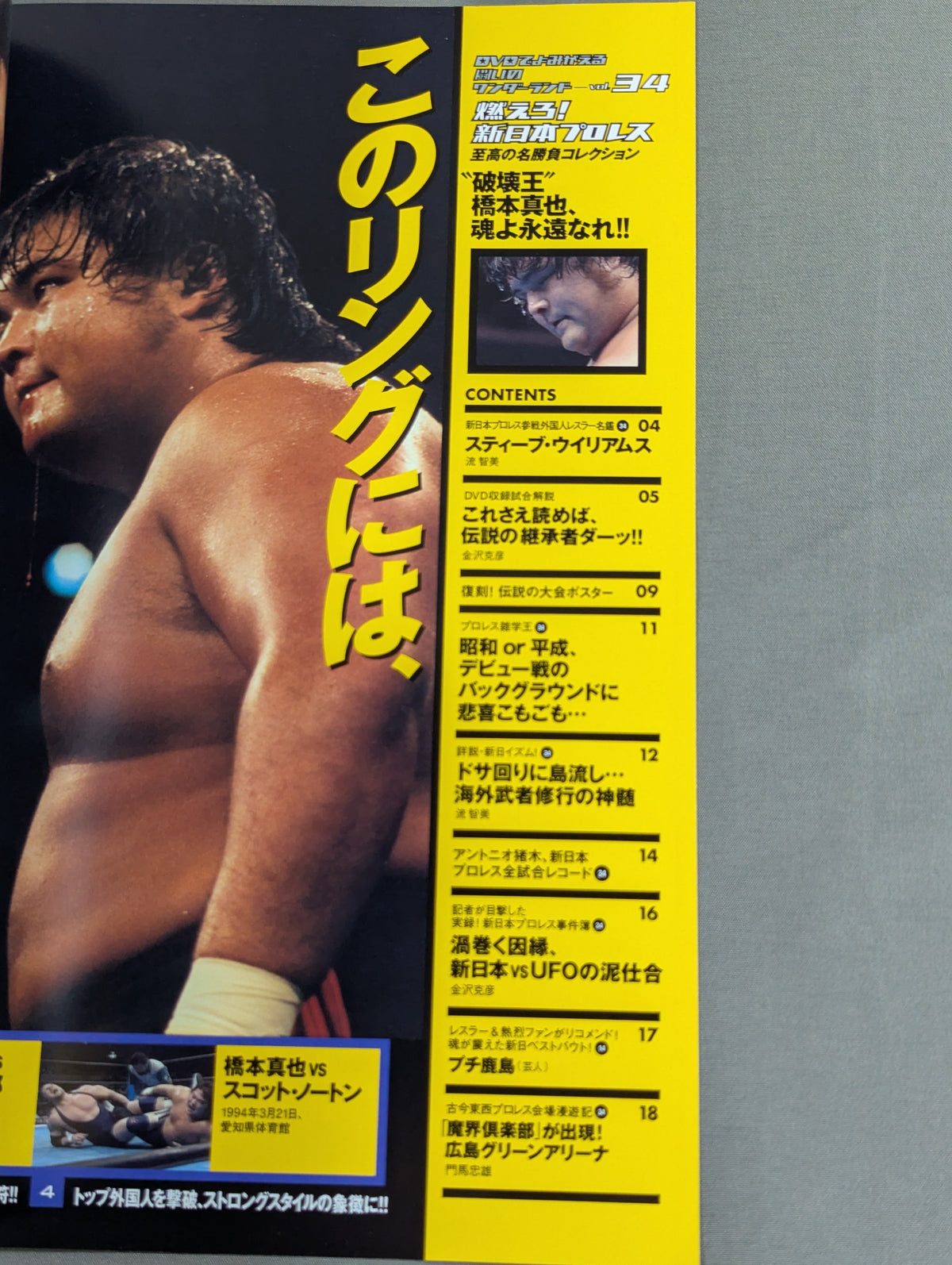 燃えろ!新日本プロレス vol.34