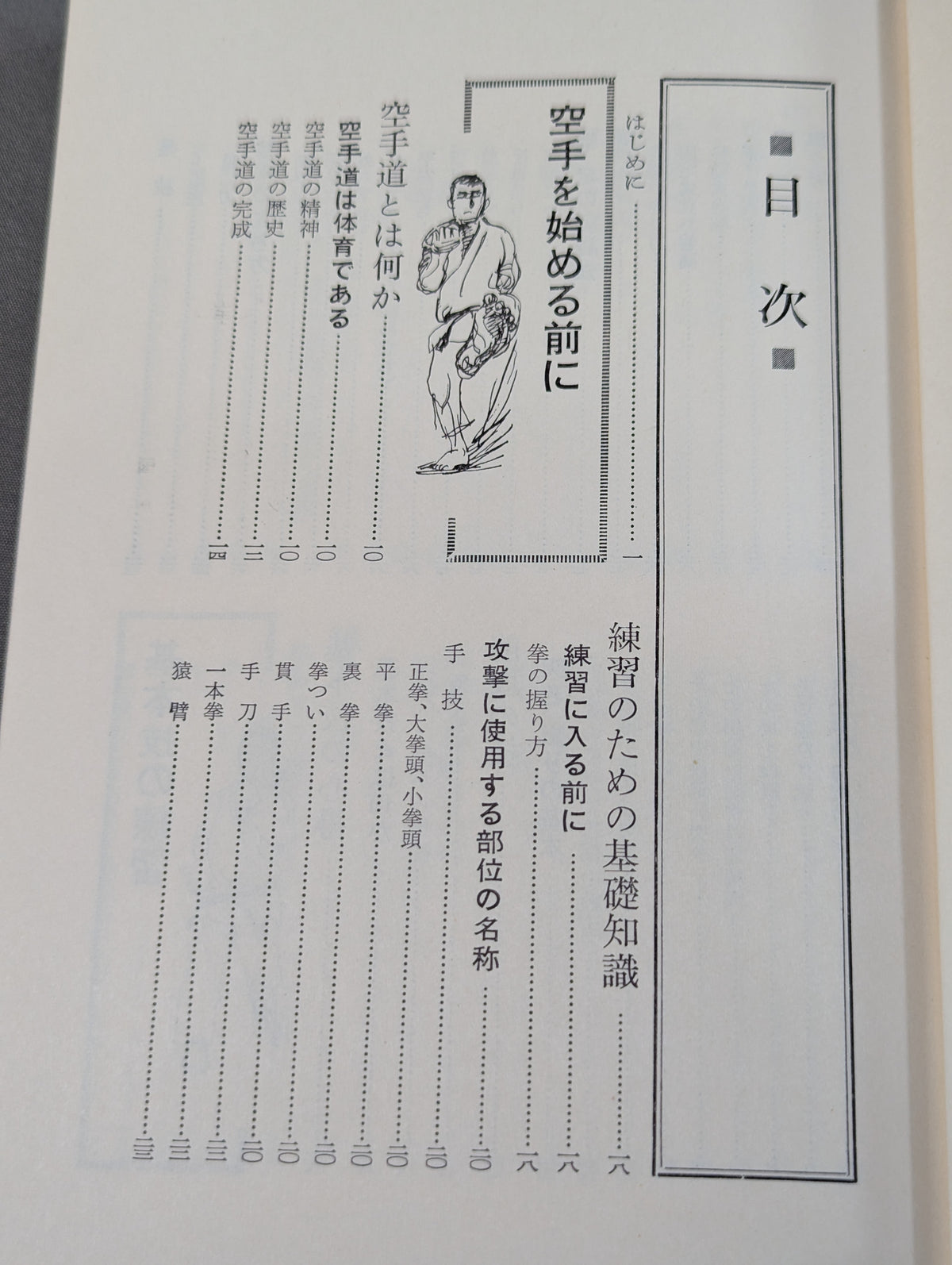 How to Learn KARATE with photos
