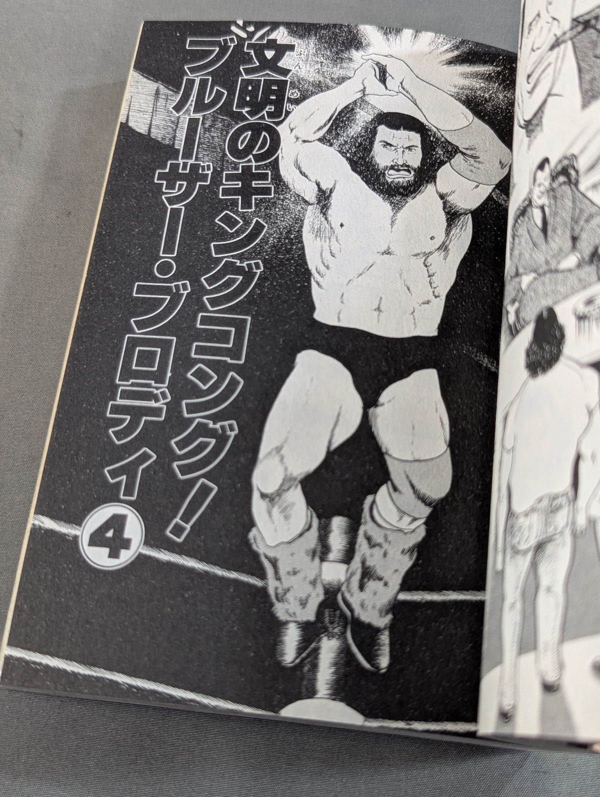 Pro Wrestling Superstar Chronicles: Stan Hansen / Bruiser Brody Edition
