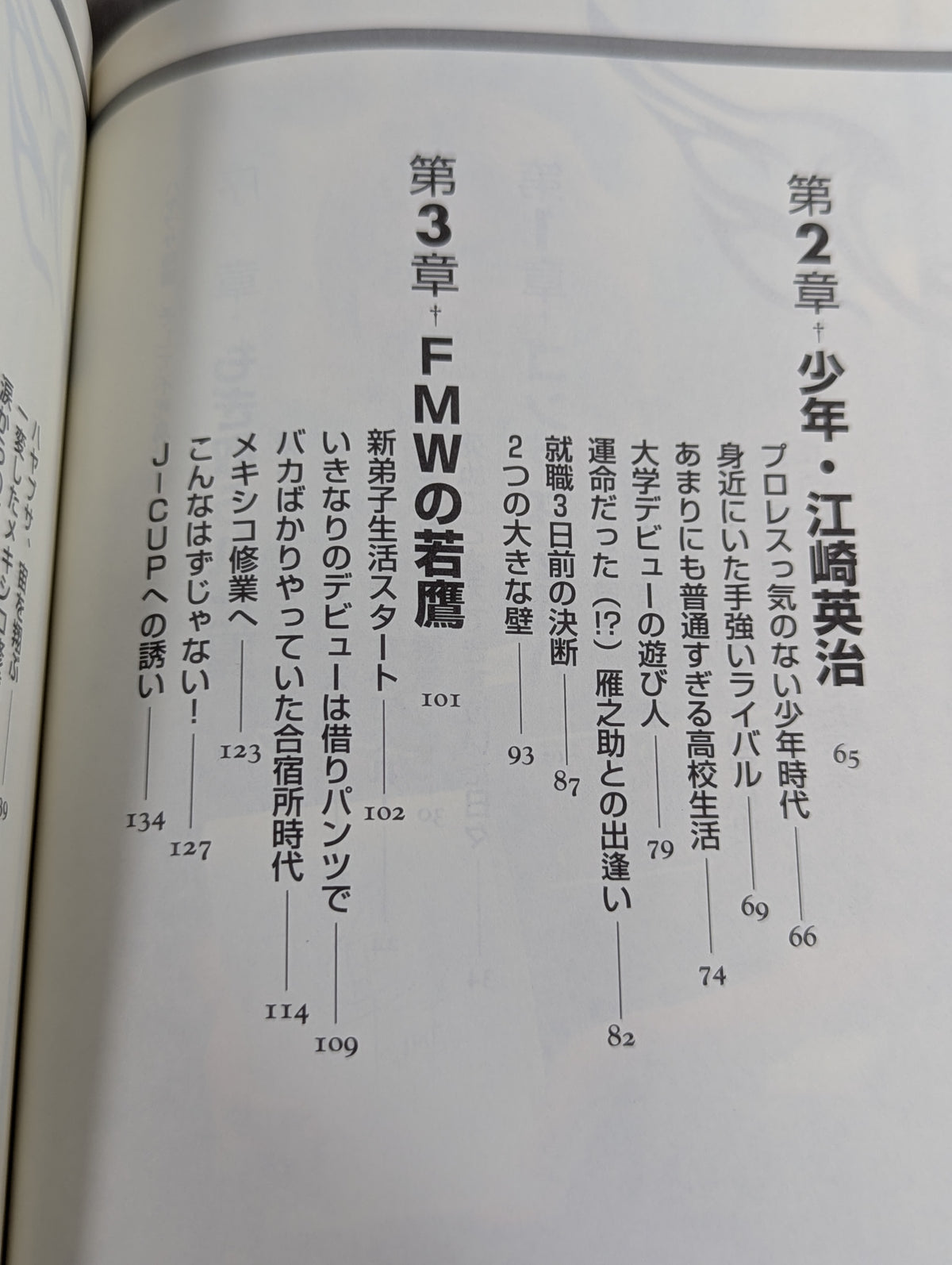 ハヤブサ降臨 そして不死鳥はよみがえる