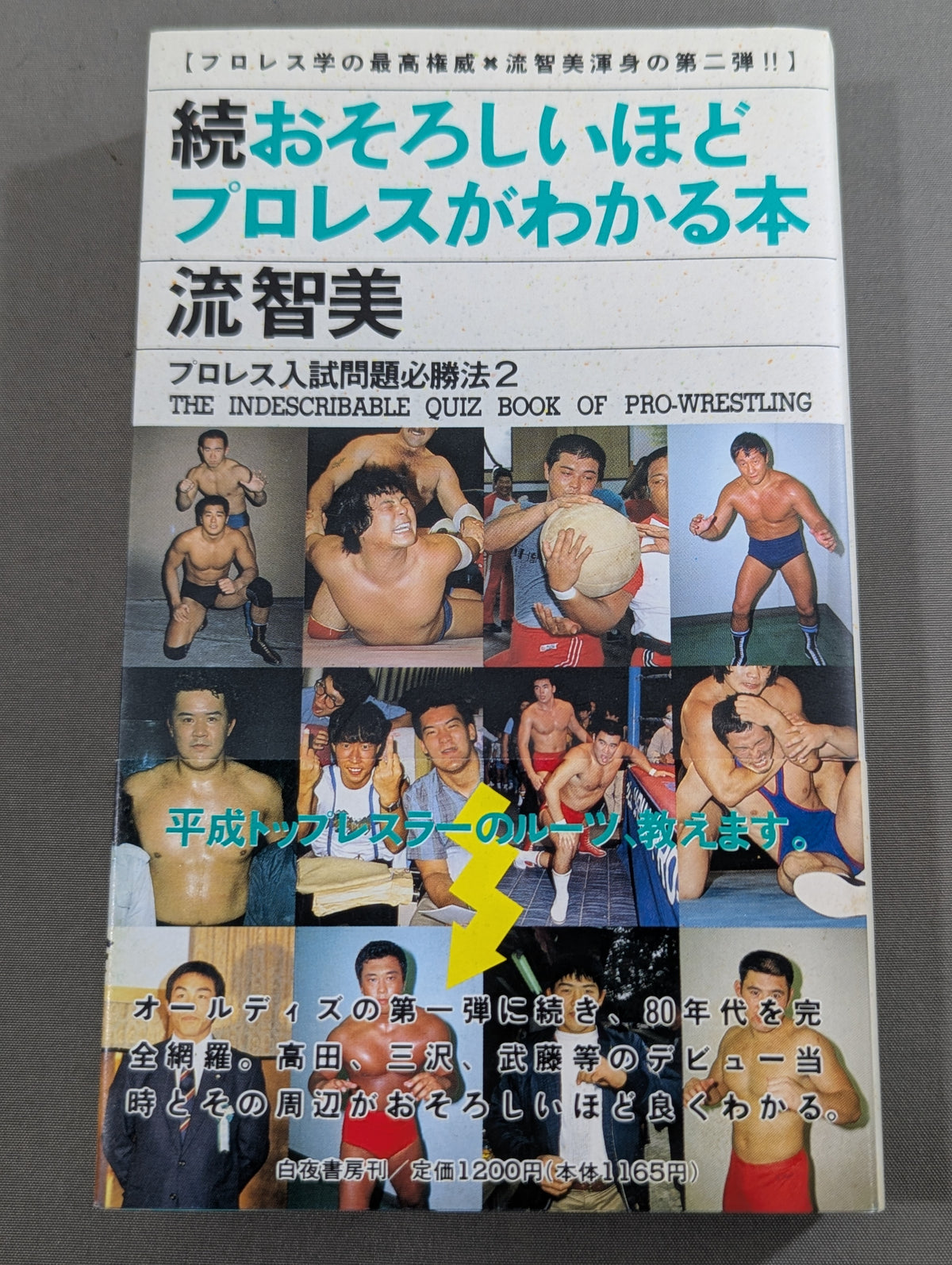 続 おそろしいほどプロレスがわかる本