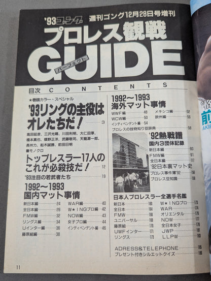 93 Gong Pro Wrestling  Perfect Guide