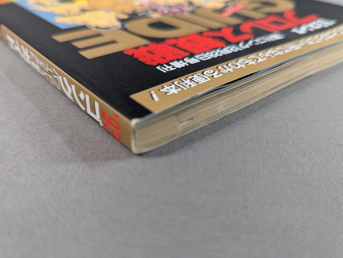 93 Gong Pro Wrestling  Perfect Guide