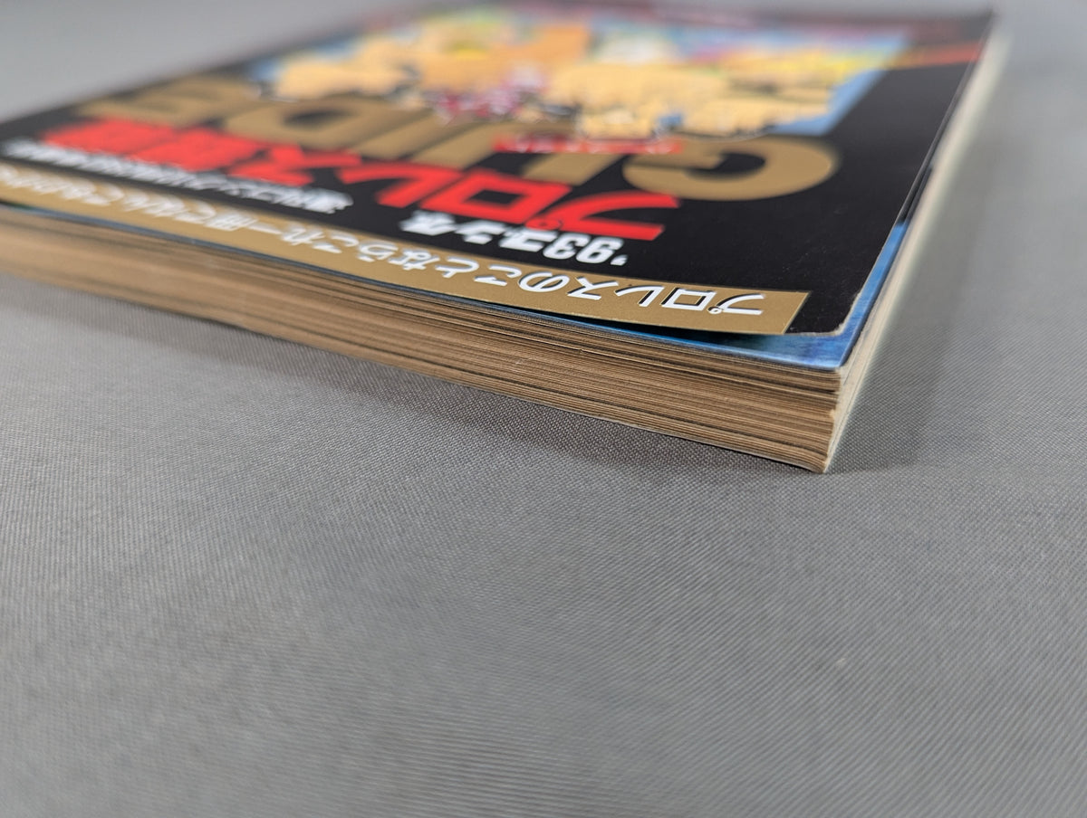 93 Gong Pro Wrestling  Perfect Guide