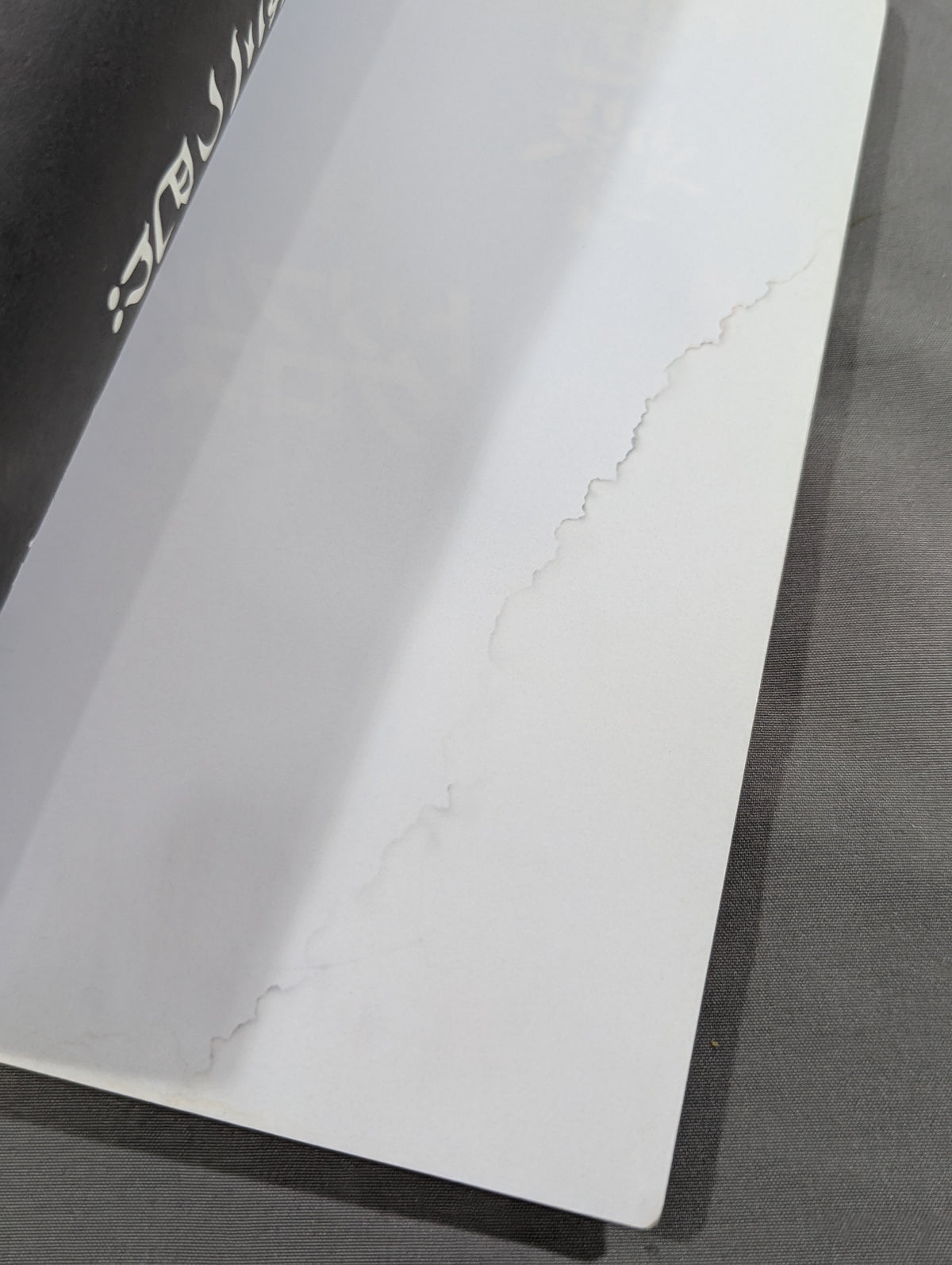 トリプルクロス 電撃プロレス=格闘技読本
