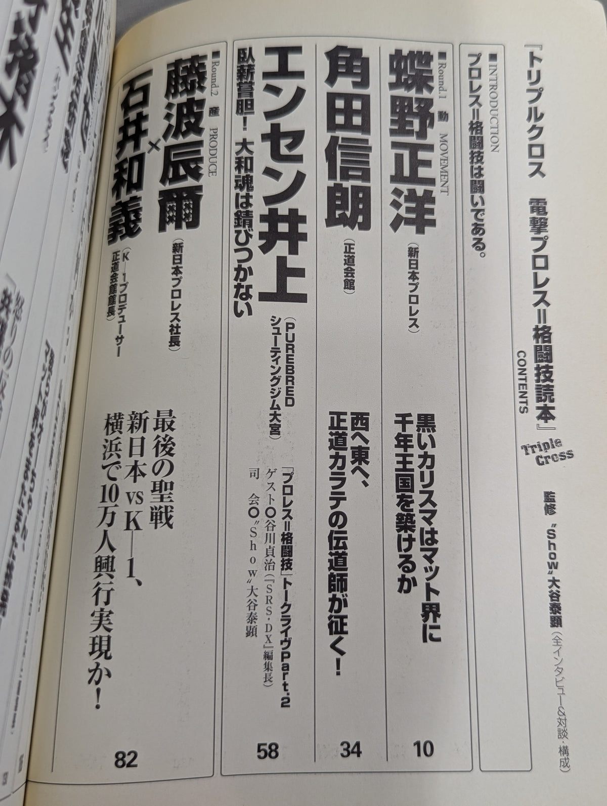 トリプルクロス 電撃プロレス=格闘技読本
