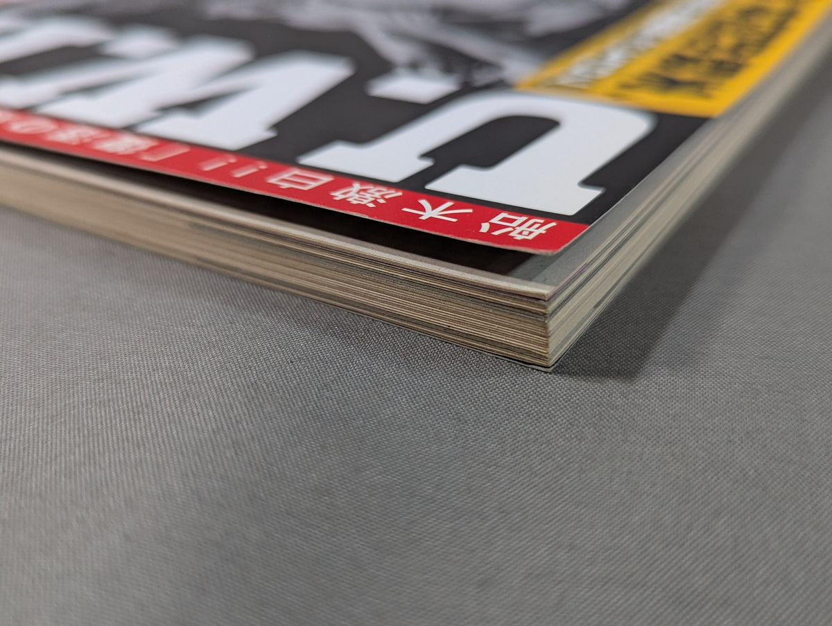 別冊宝島1462 U.W.F.伝説｢プロレス｣と｢格闘技｣の間を漂流した"実験的団体"の真実