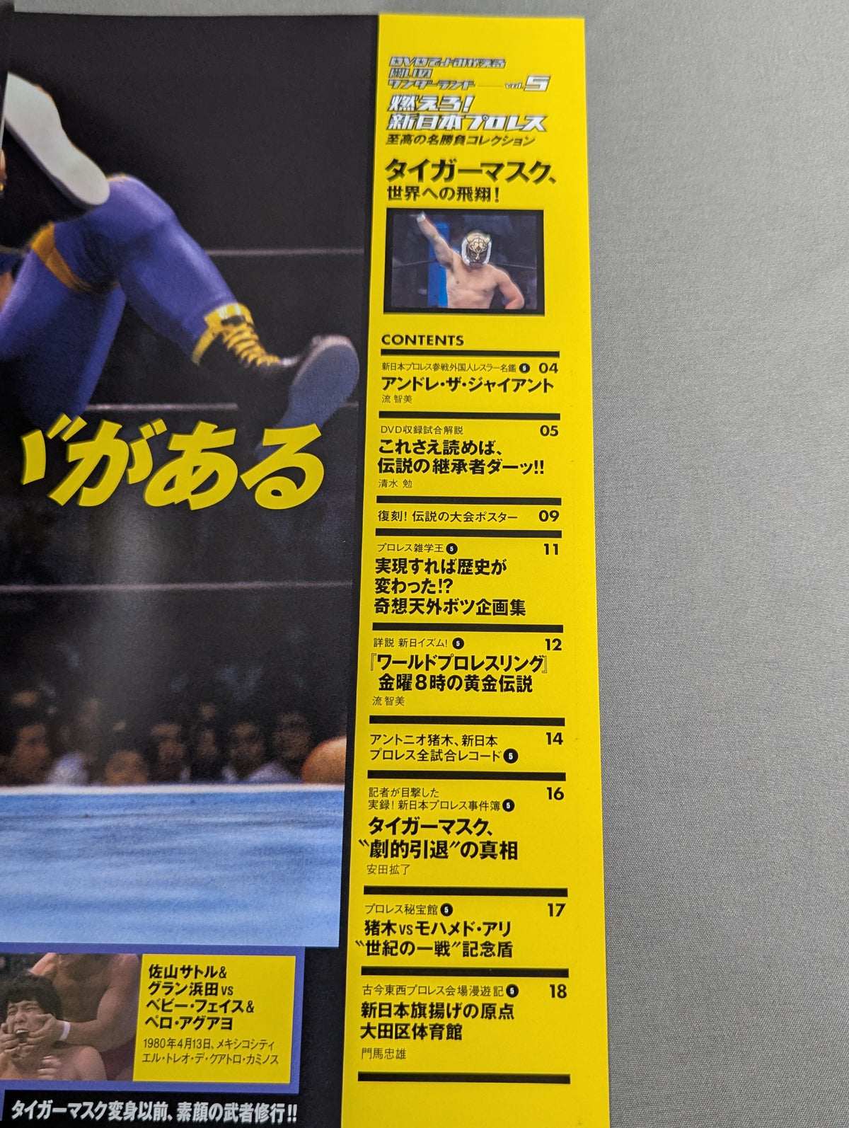 Burn! New Japan Pro Wrestling  vol.5