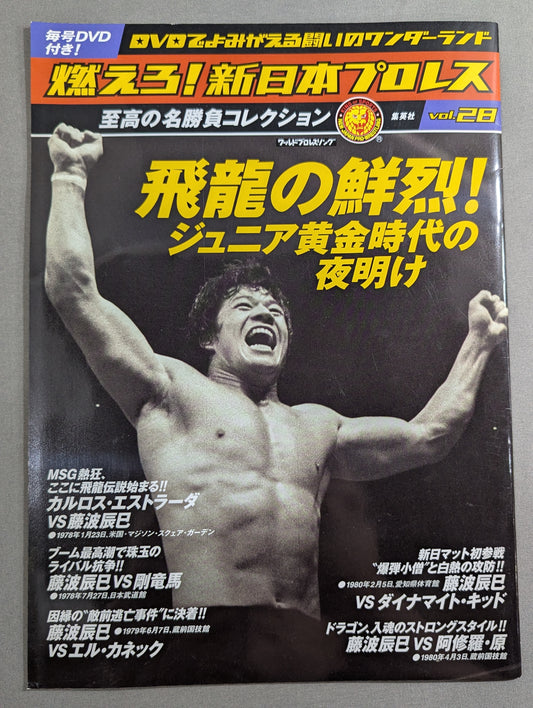 Burn! New Japan Pro Wrestling  vol.28