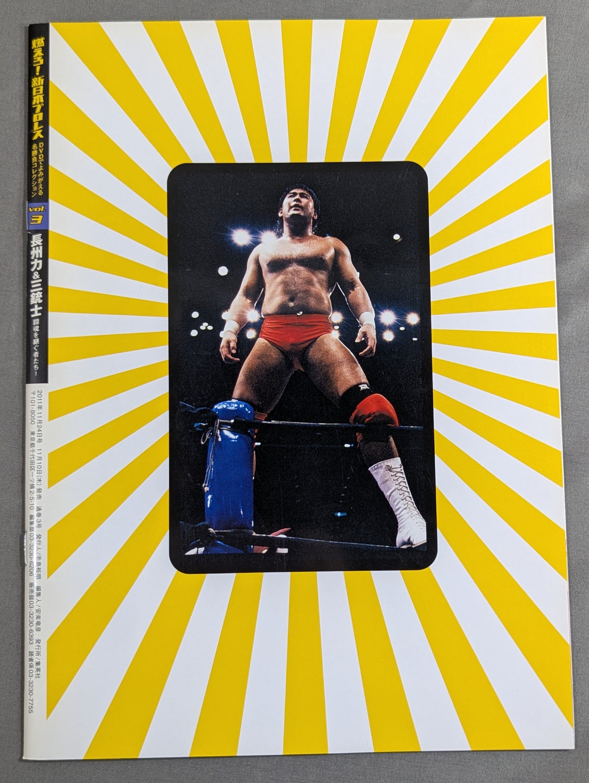 Burn! New Japan Pro Wrestling  vol.3