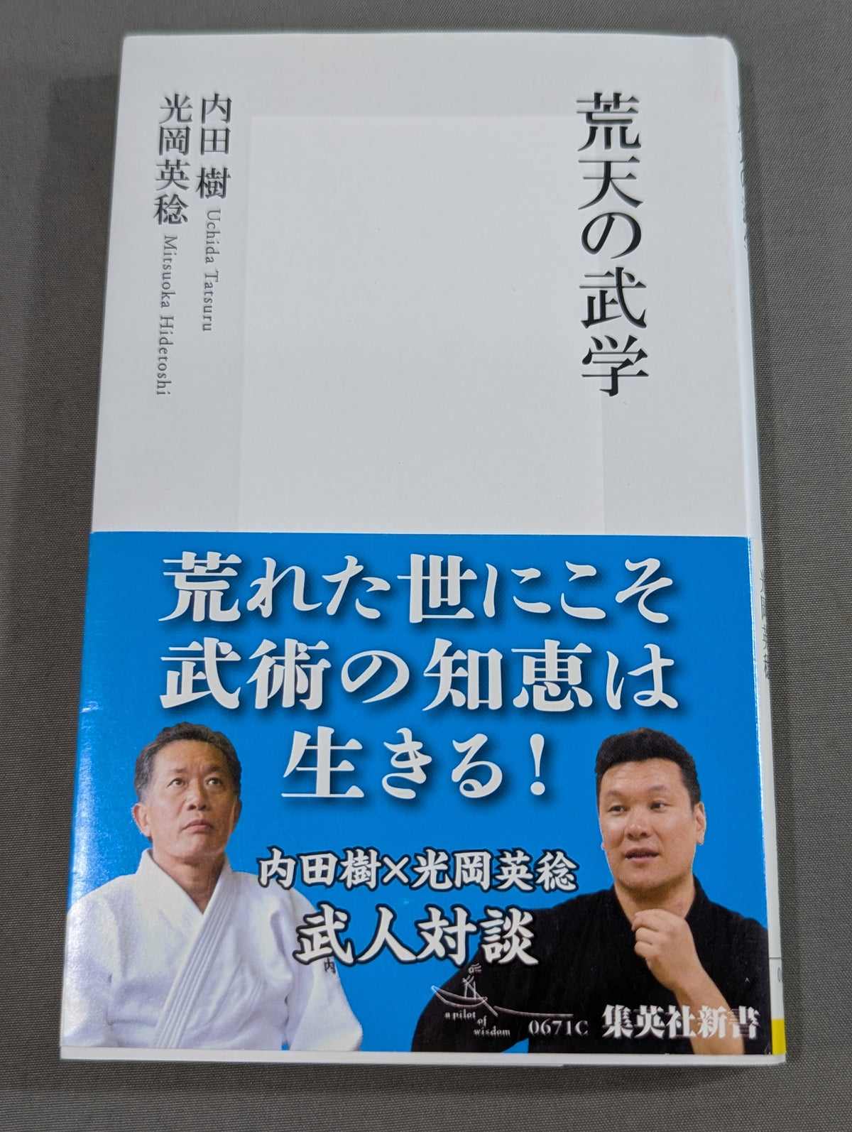 荒天の武学