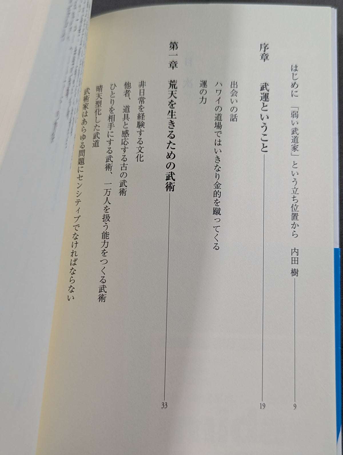 荒天の武学