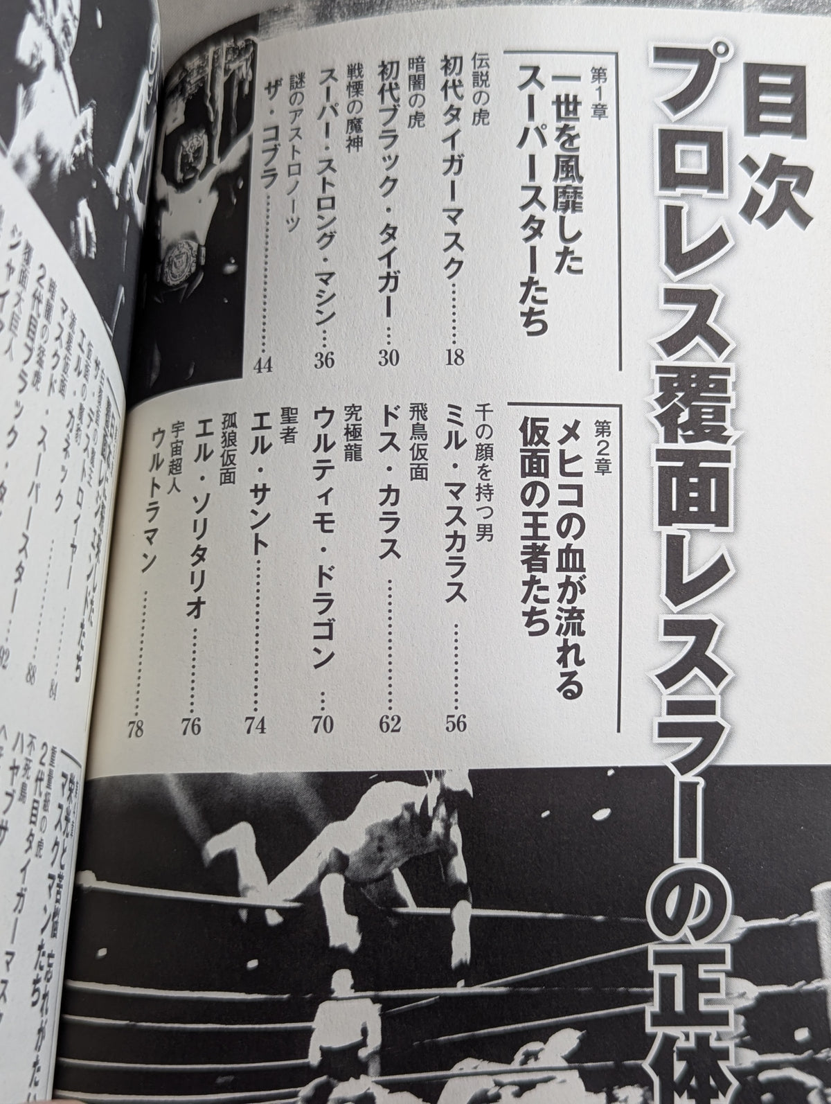 The identity of the Pro Wrestling undercover wrestler