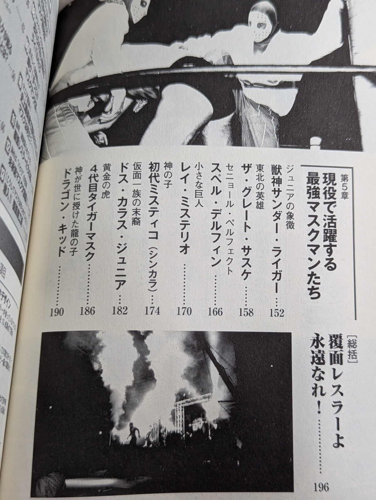 The identity of the Pro Wrestling undercover wrestler