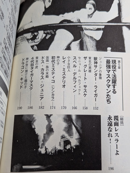 The identity of the Pro Wrestling undercover wrestler