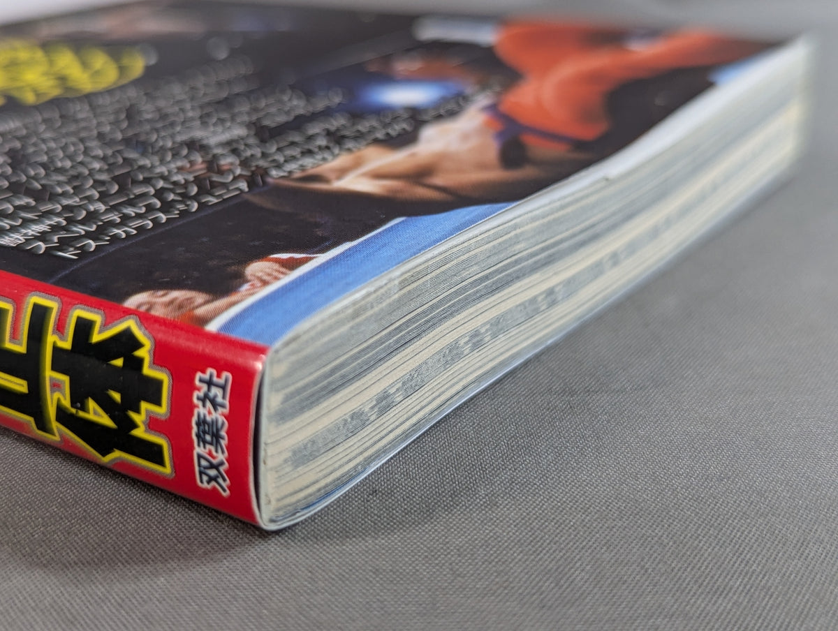 The identity of the Pro Wrestling undercover wrestler