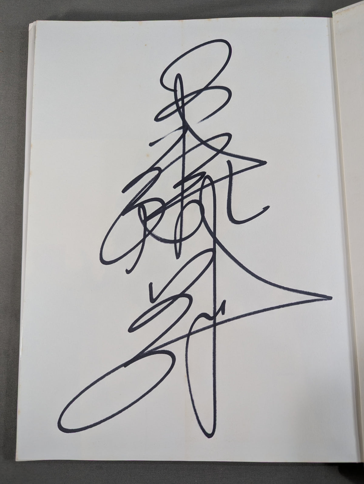 【直筆サイン入り】工藤めぐみ 写真集 Stand Up