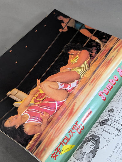 Women'Pro Wrestling '85 Flame Konoya Low!!