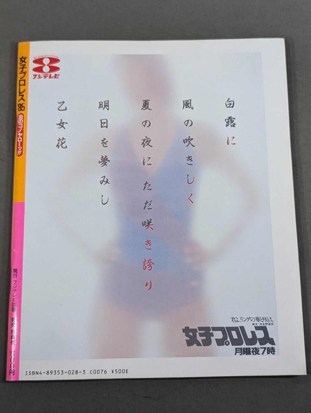 Women'Pro Wrestling '85 Flame Konoya Low!!