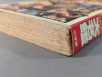 プロレスラー300大名鑑