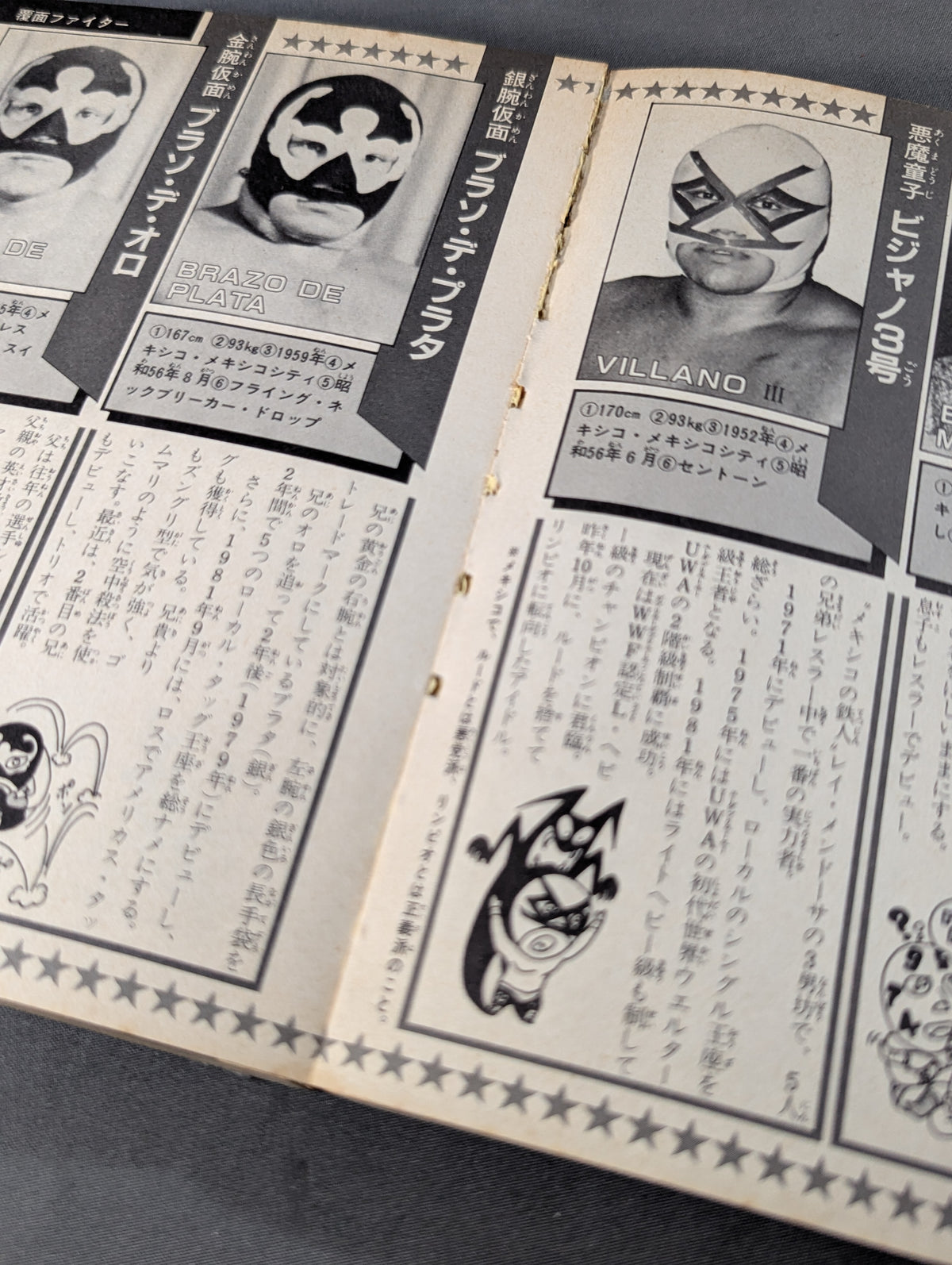 プロレスラー300大名鑑
