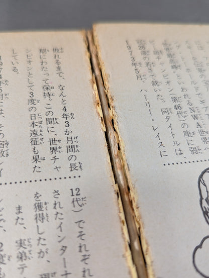 プロレスラー300大名鑑
