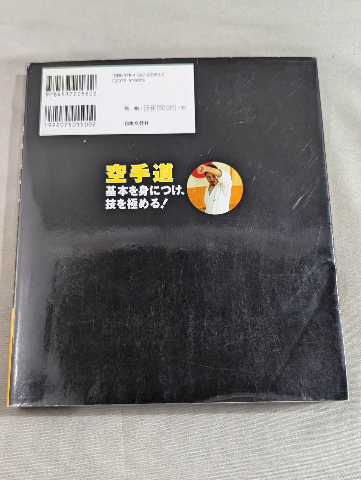 [with DVD] KARATE WAY LEARN THE BASICS AND MASTER YOUR SKILLS!