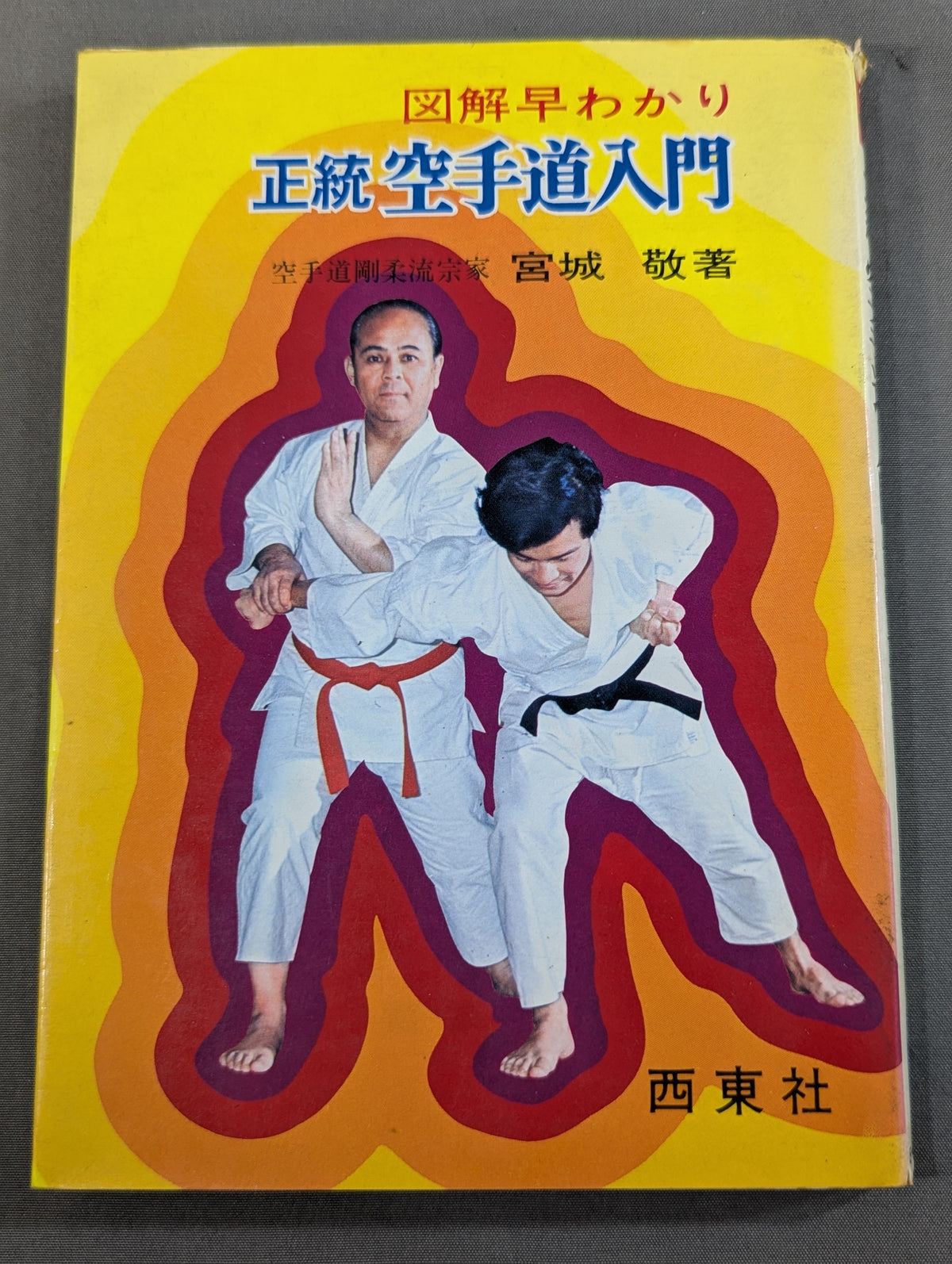Quick Guide to Illustrated Guides: Authentic KARATE Path Introduction