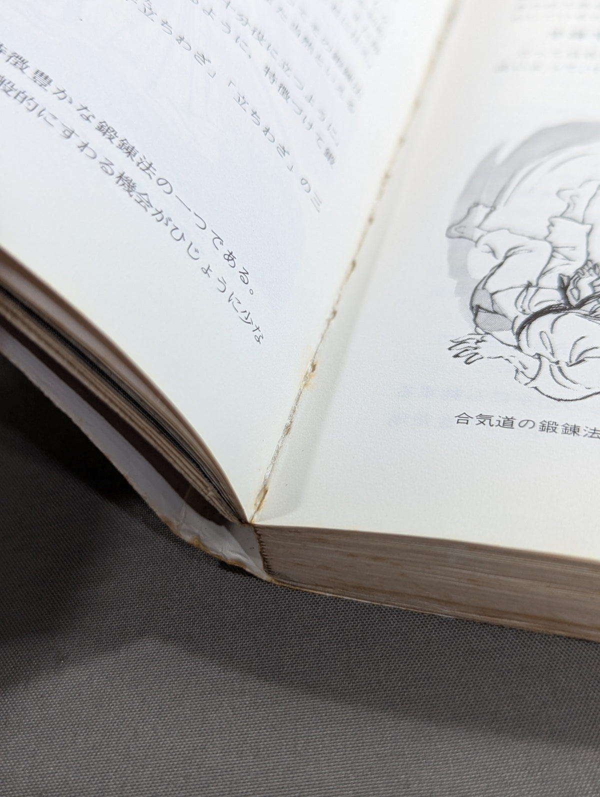 絵説 合気道独習教本 全