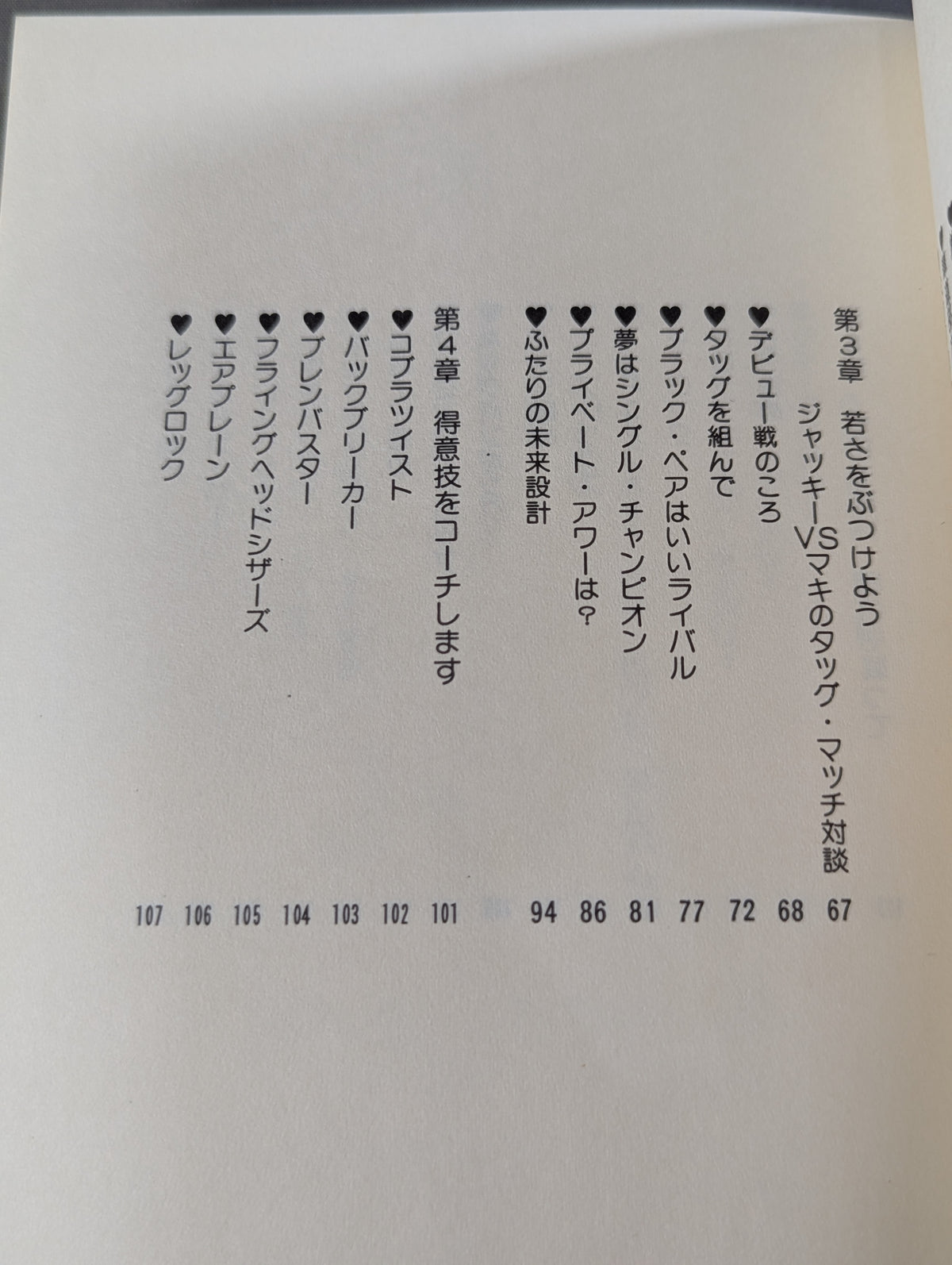 ビューティ・ペア ジャッキーとマキの作った本