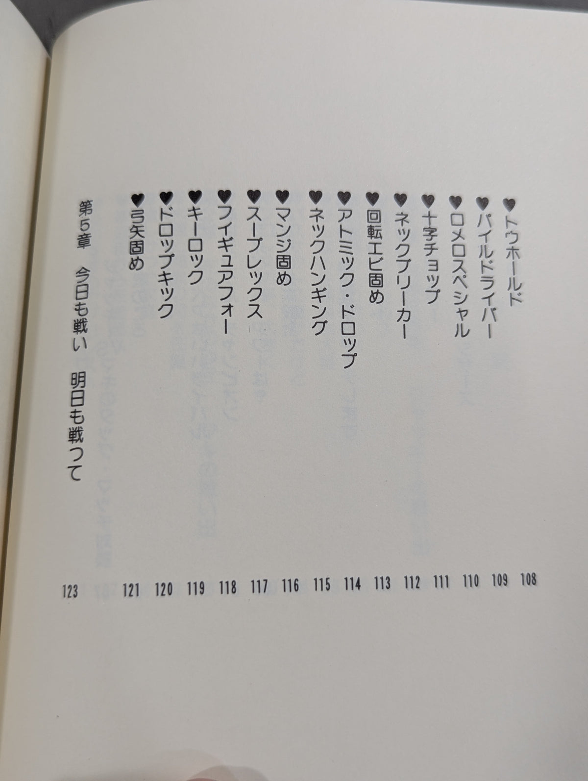 ビューティ・ペア ジャッキーとマキの作った本