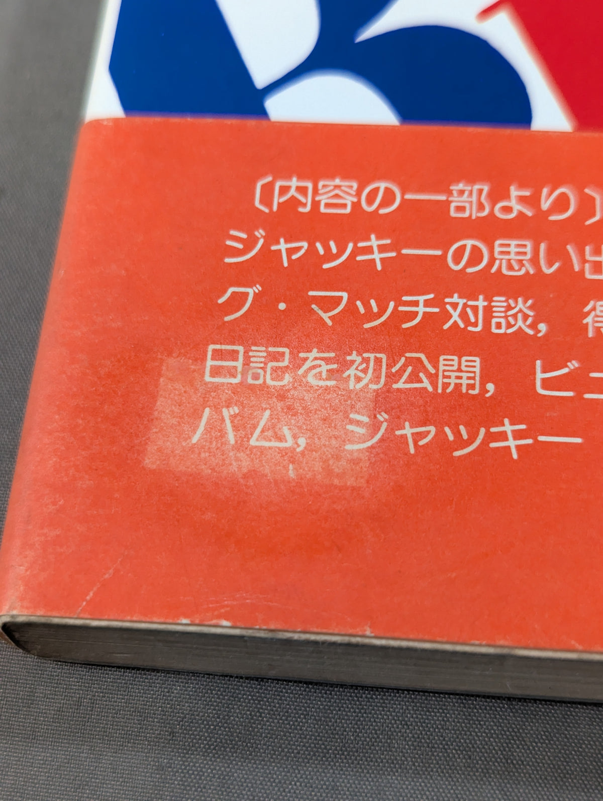 ビューティ・ペア ジャッキーとマキの作った本