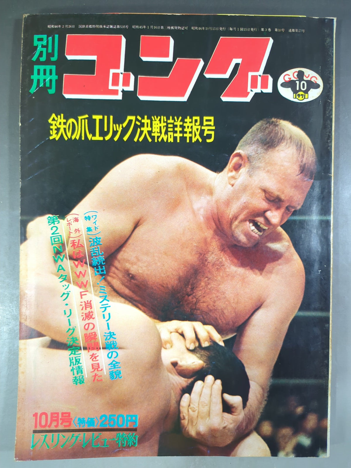 別冊ゴングVol.3 No.10