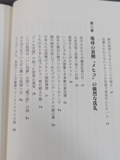 素顔のマスクマン