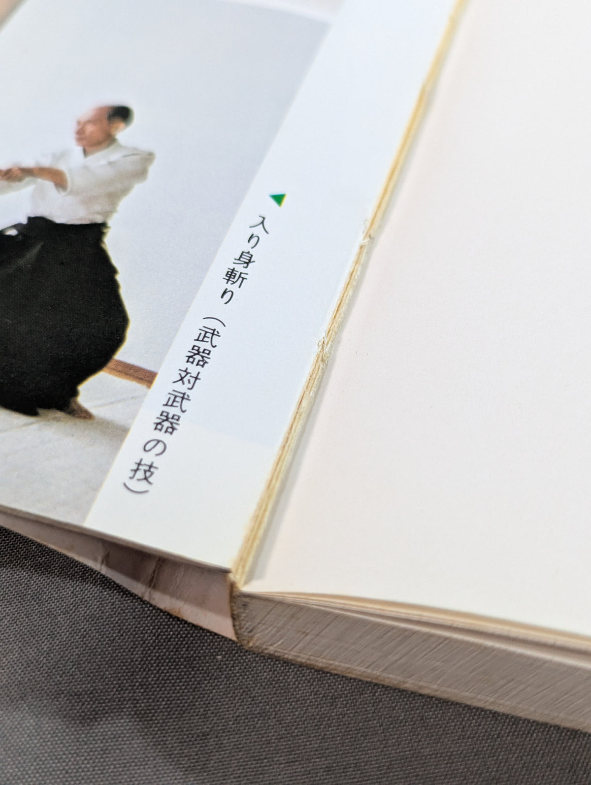 図解早わかり　合気道入門