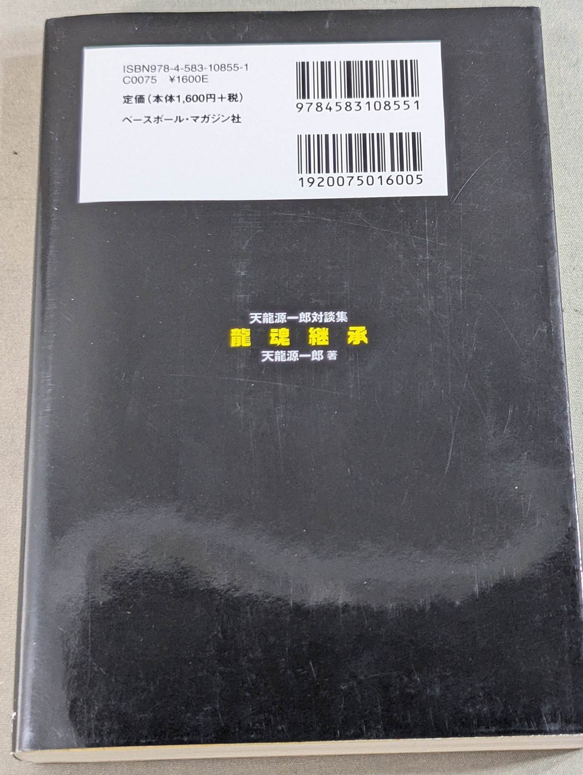 Inheritance of the Dragon Soul Tenryu Genichiro  Dialogue Collection