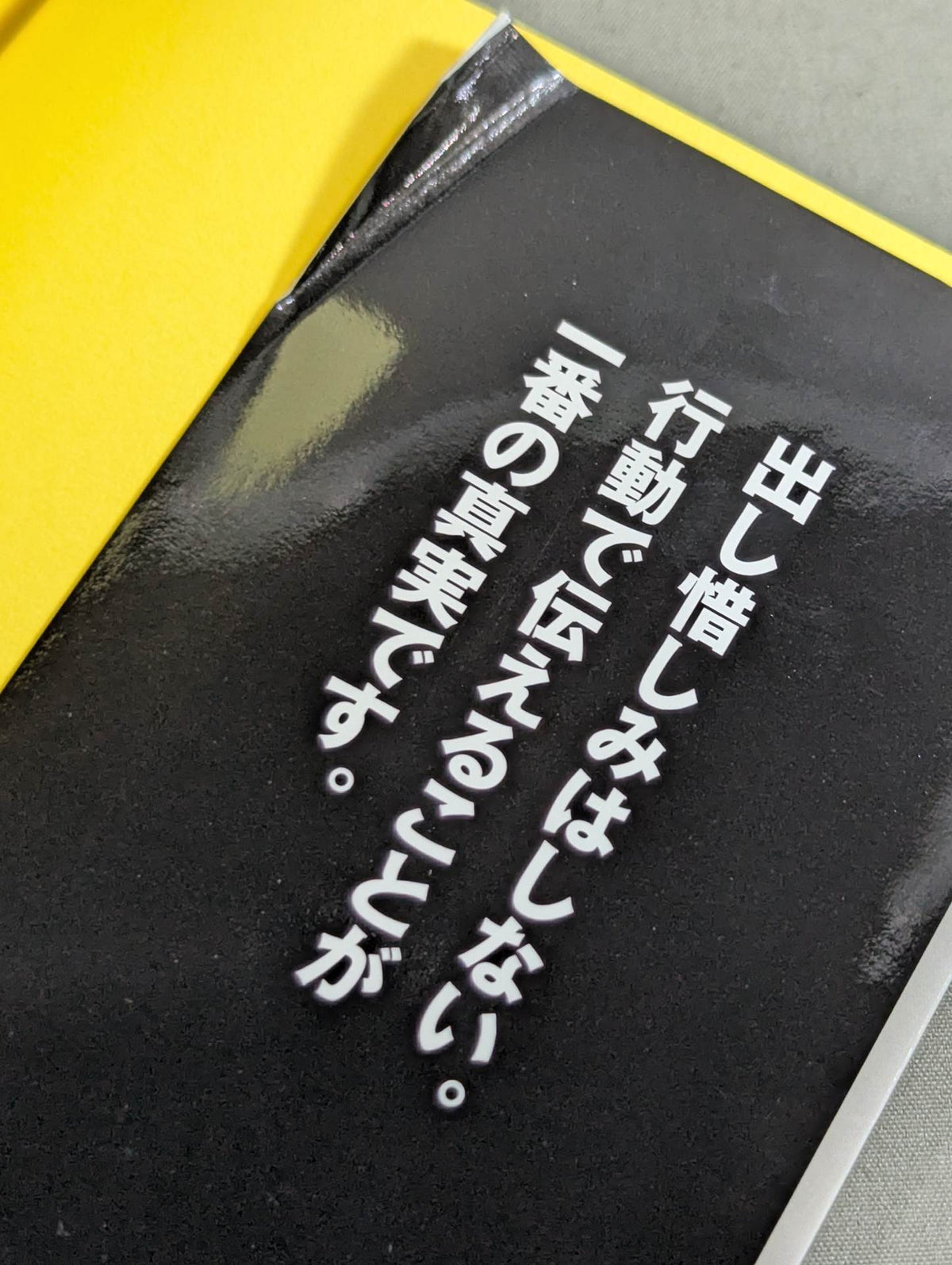 Inheritance of the Dragon Soul Tenryu Genichiro  Dialogue Collection