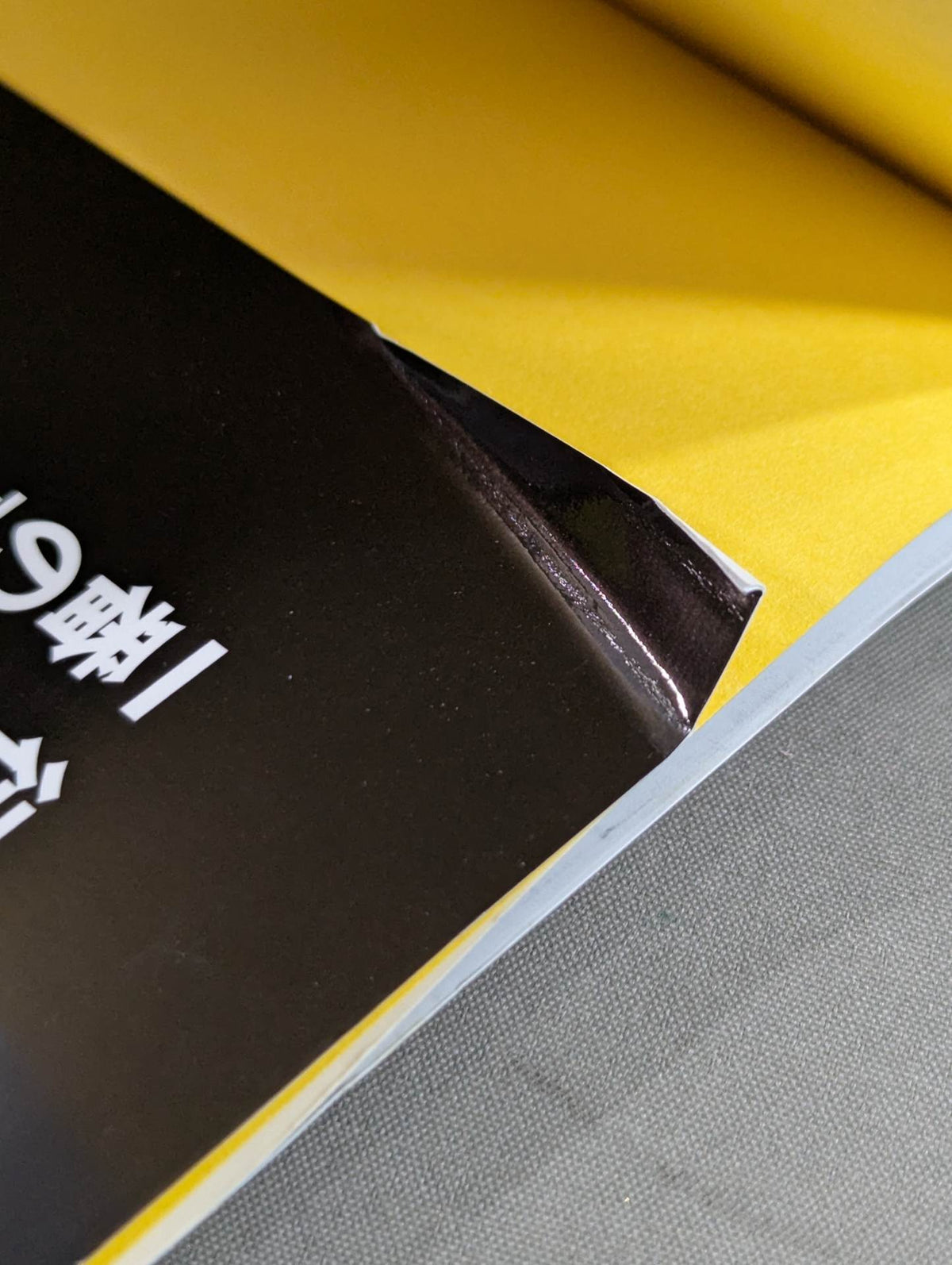 Inheritance of the Dragon Soul Tenryu Genichiro  Dialogue Collection