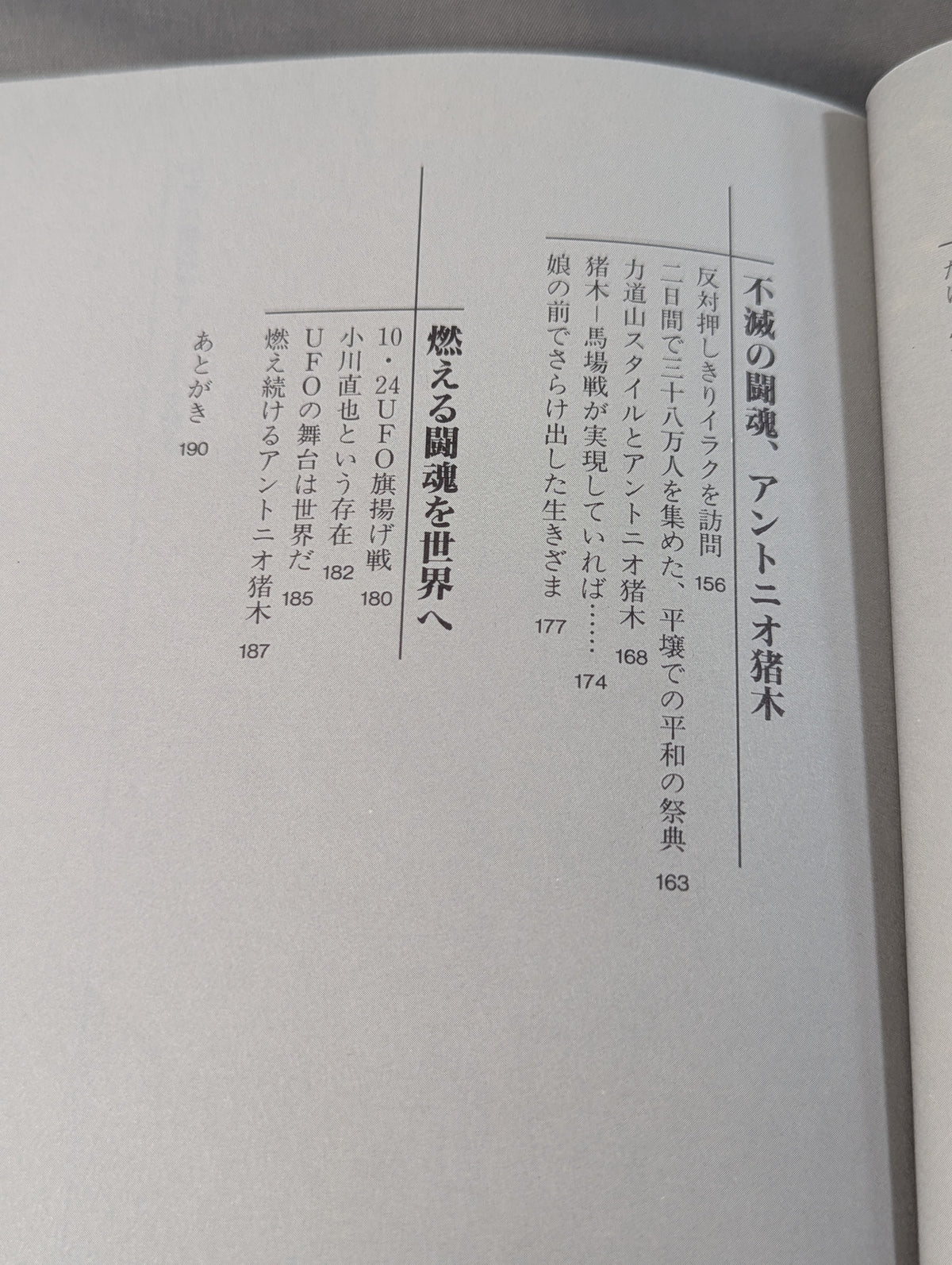 Immortal Fighting Spirit
