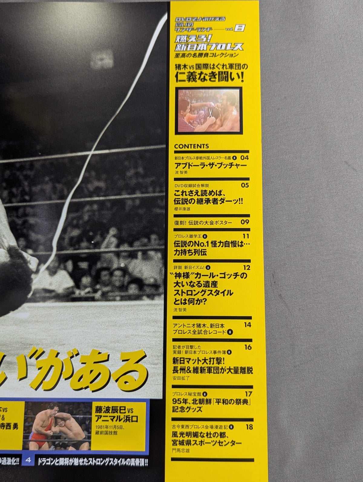 燃えろ!新日本プロレス vol.8
