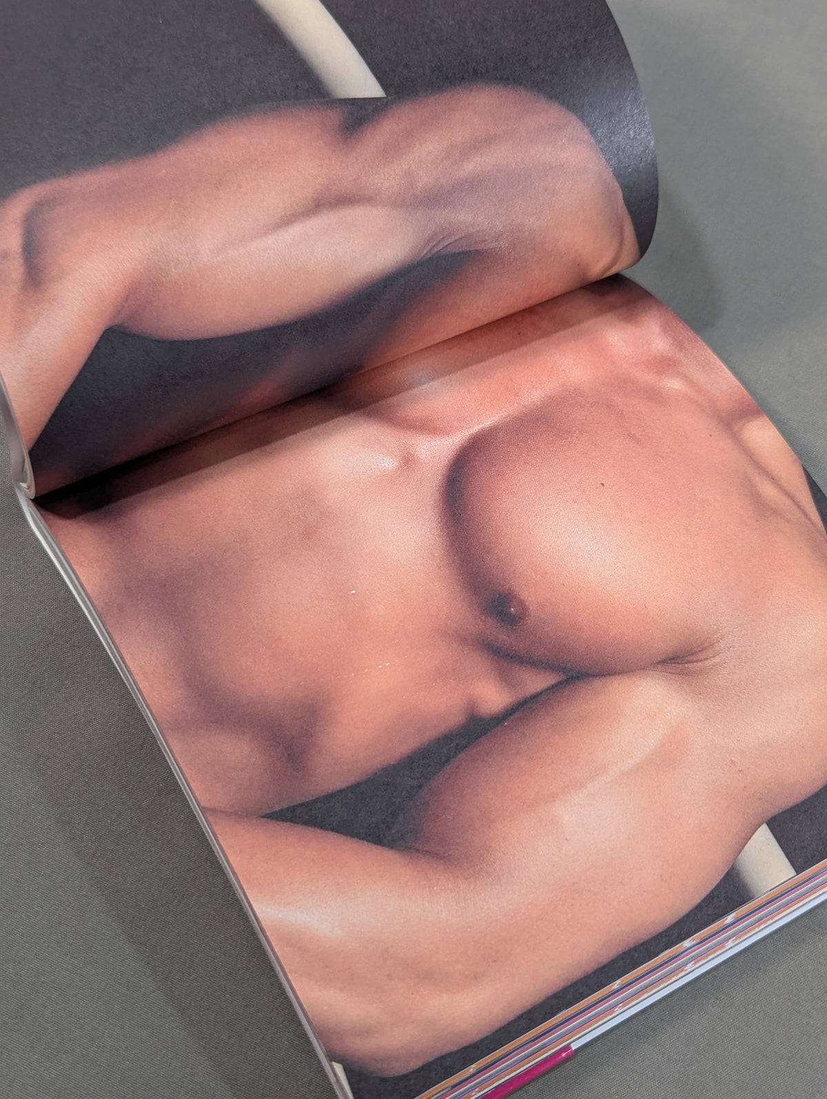 New Japan Pro Wrestling  Pectoral Encyclopedia