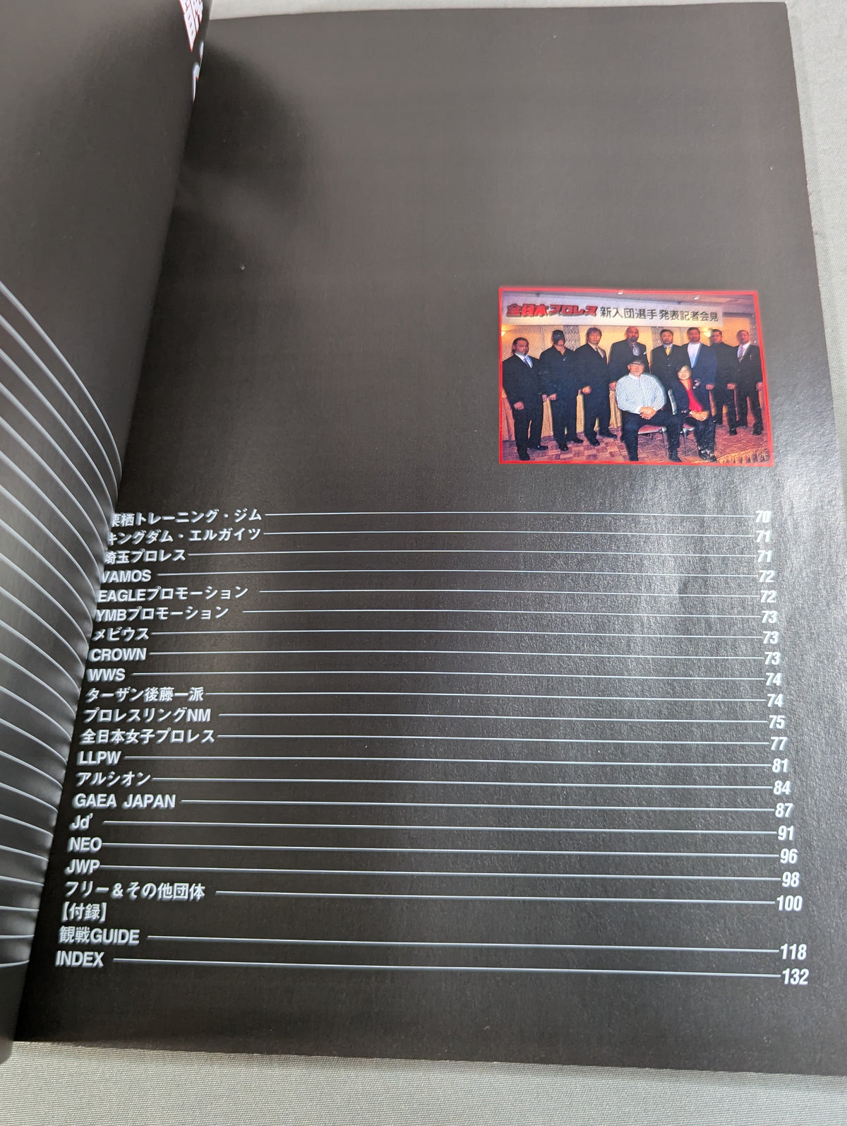 Pro Wrestler Color Photo Directory 2002 Expanded and Revised Edition