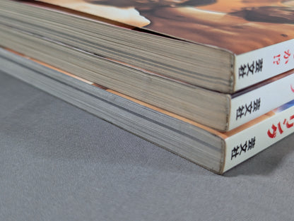 [Complete 3-Book Set] Labyrinth X-Files