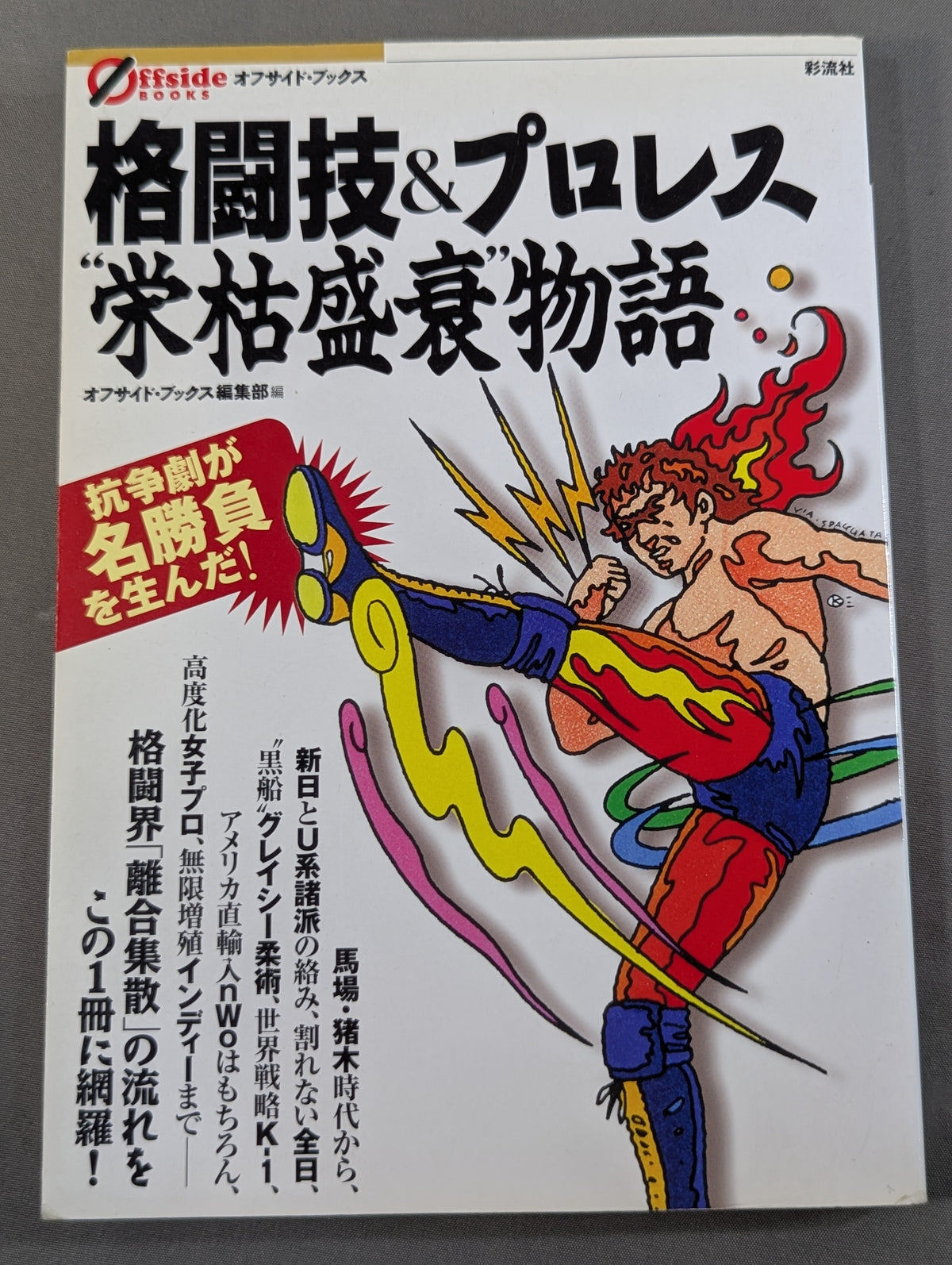 Martial Arts & Pro Wrestling  "Rise and Fall" Story