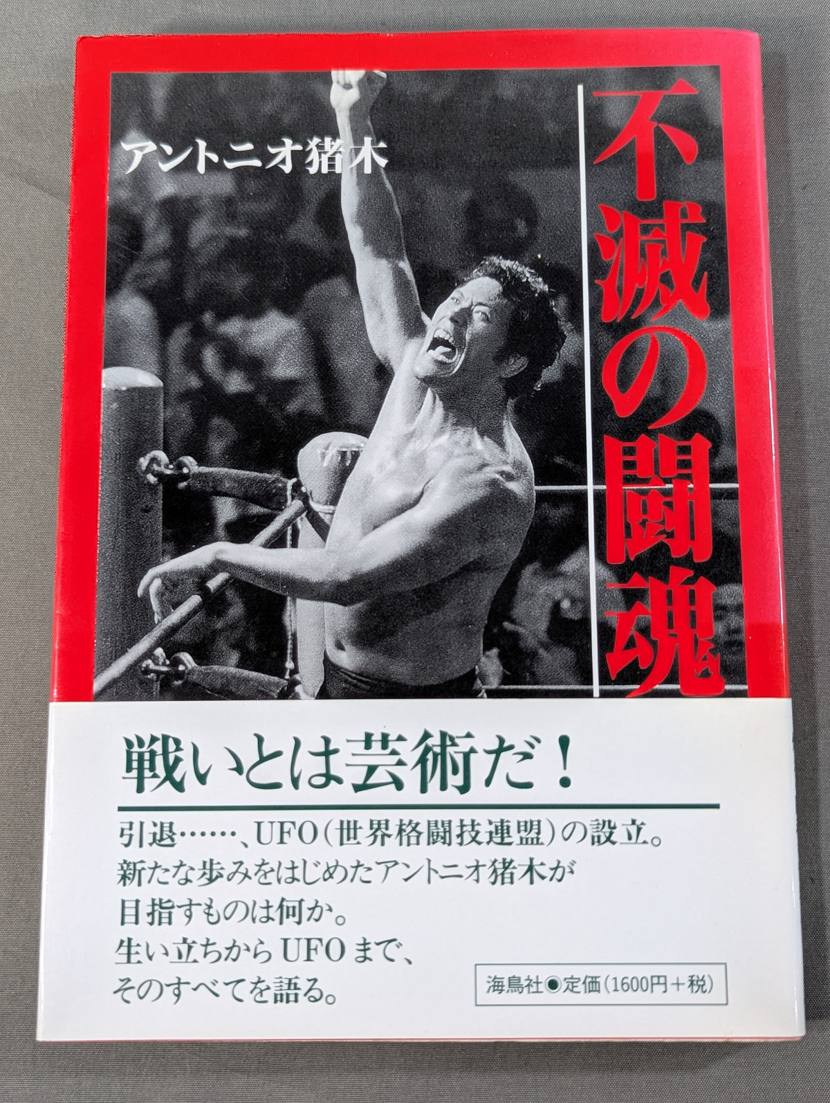 Immortal Fighting Spirit