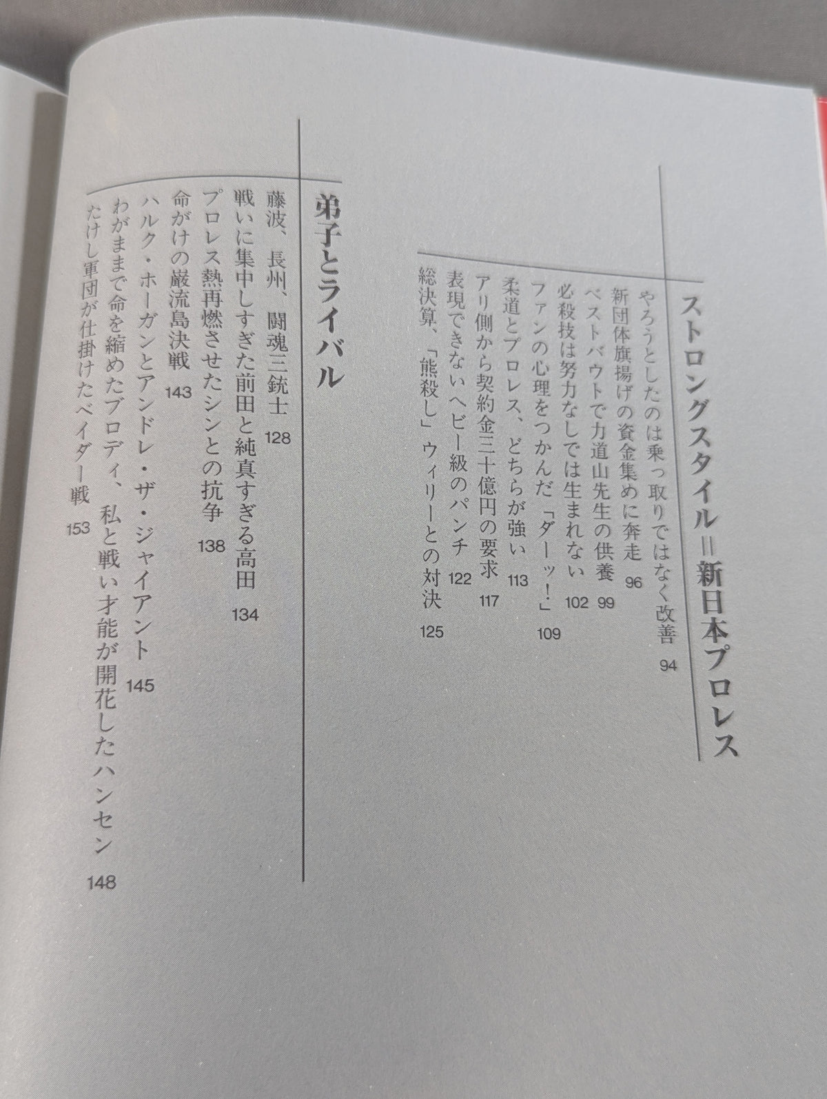 Immortal Fighting Spirit